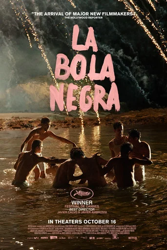 La bola negra.